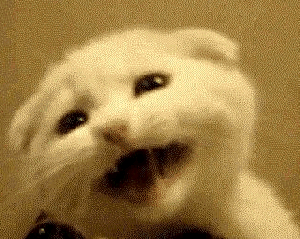 壁纸 动物 狗 狗狗 300_239 gif 动态图 动图