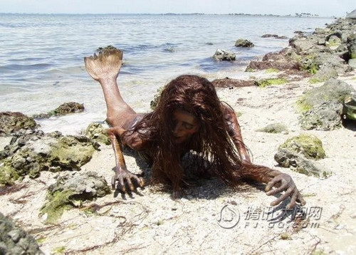 大家来看看美人鱼的真身吧!(胆小的孩纸不要进