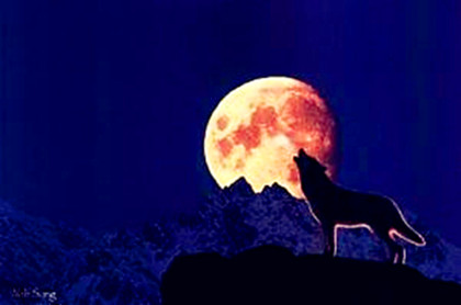 【原创】动物小说 [月下狼嚎]