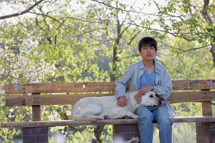 【小悠】感人狗狗电影推荐!