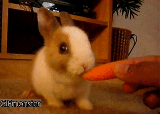 324_232gif 动态图 动图