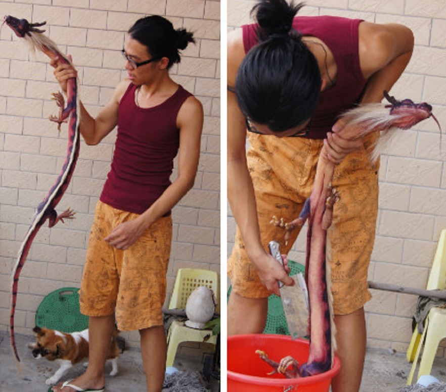 世界上有龙的证据图,世界上有龙证据视频,世界上有龙的证据,世界上有龙的 