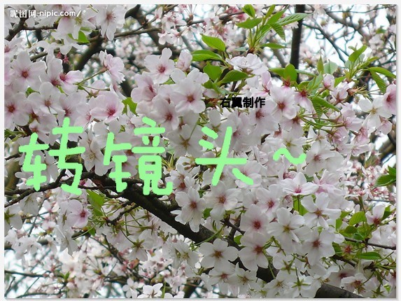 奥剧【<em>坏女孩</em>】(根据徐良歌曲<em>改编</em>)【右翼制作