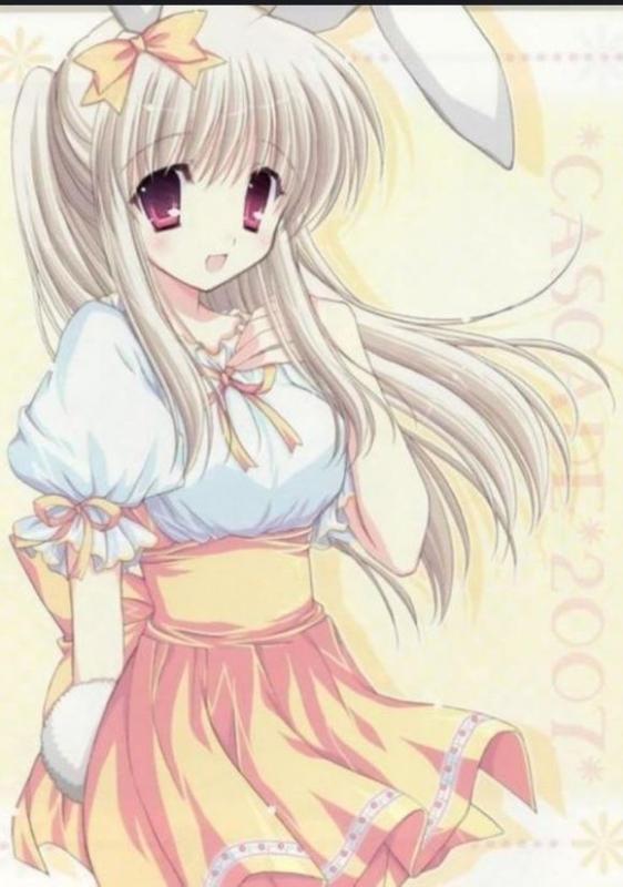 动漫中出现滴兔女郎们+3+~_动漫圈_百田网