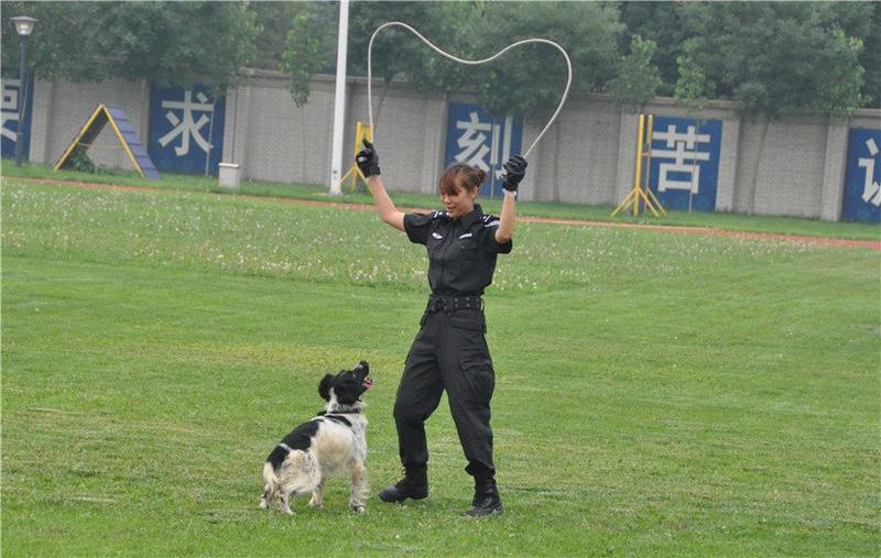 【天狼】《传奇i警犬》