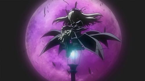 <em>蔷薇少女水银灯</em>图片_百田知了_百田网