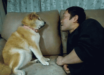 350_253gif 动态图 动图